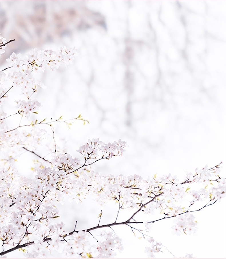IMAGES Релаксирующий скраб для тела с цветками сакуры