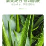 ZHIDUO Увлажняющий, освежающий, универсальный, несмываемый гель Fresh Aloe Vera Gel 120 мл